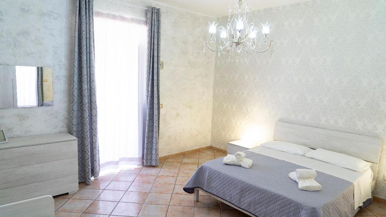 Apartment 238 House